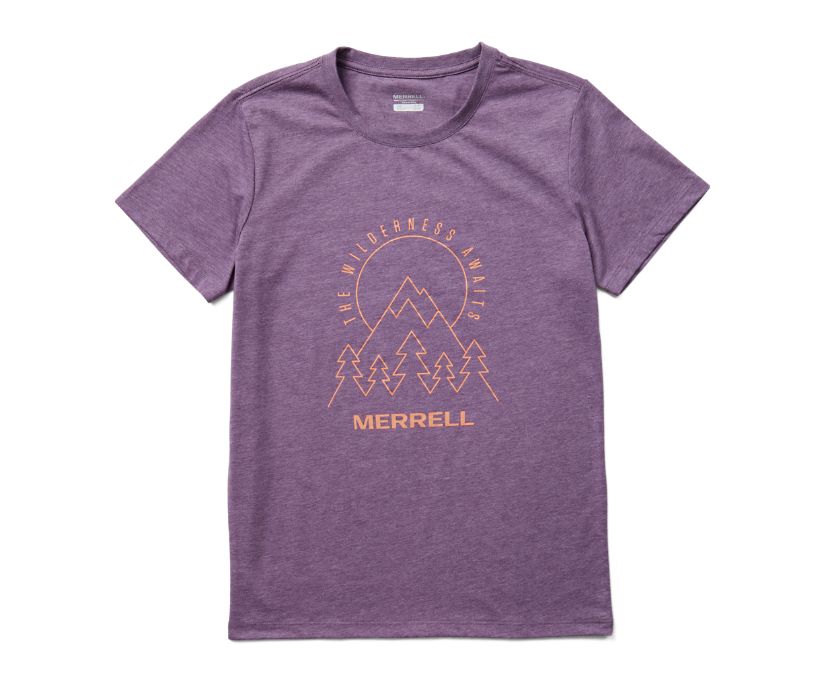 Camiseta Merrell The Wilderness Awaits Curta Sleeve Feminino Cinzentas | 51867-GETJ